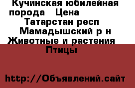 Кучинская юбилейная порода › Цена ­ 200-350 - Татарстан респ., Мамадышский р-н Животные и растения » Птицы   
